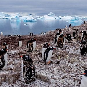 Fotoğraf Gezegenimiz