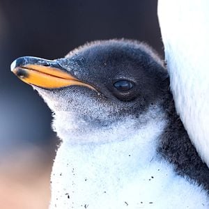 Fotoğraf Gezegenimiz