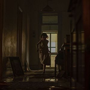 Fotoğraf Run Rabbit Run