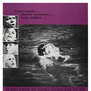 Fotoğraf İguana Geceleri