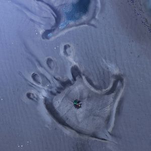 Fotoğraf Kafatası Adası