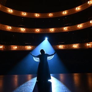 Fotoğraf Falling For Figaro