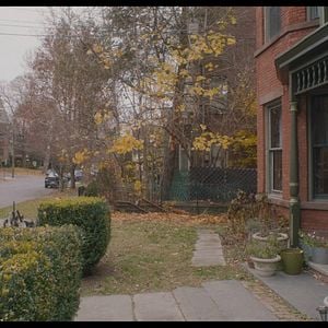 Fotoğraf The Adults