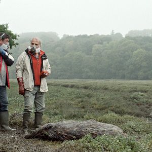 Fotoğraf Pasquale D'Inca