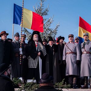 Fotoğraf The Cardinal