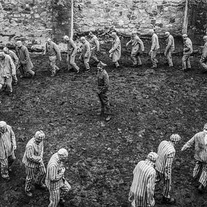 Fotoğraf The Cardinal