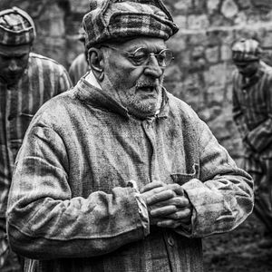 Fotoğraf The Cardinal