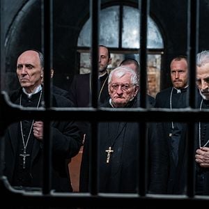 Fotoğraf The Cardinal