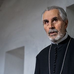 Fotoğraf The Cardinal