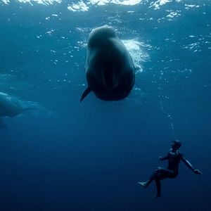 Fotoğraf The Deepest Breath