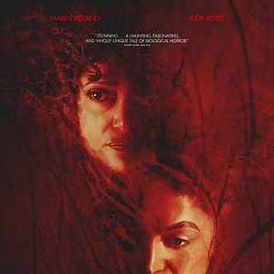 Fotoğraf Birth/Rebirth