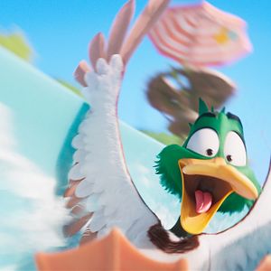 Fotoğraf Ördeklerin Göçü