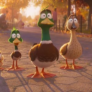 Fotoğraf Ördeklerin Göçü