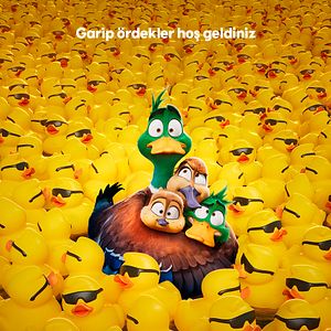 Fotoğraf Ördeklerin Göçü