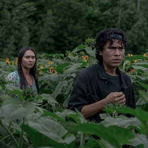 Fotoğraf Hayvan Mezarlığı: Kan Bağı