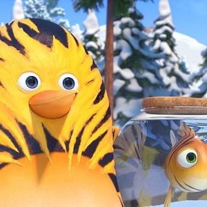 Fotoğraf Orman Çetesi: Dünya Turu