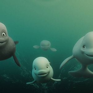 Fotoğraf Cesur Balina Katak