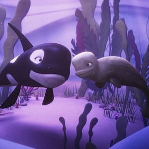 Fotoğraf Cesur Balina Katak