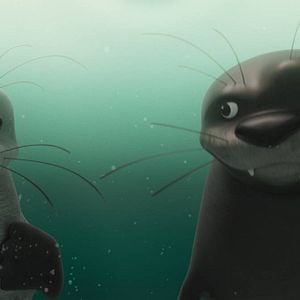 Fotoğraf Cesur Balina Katak