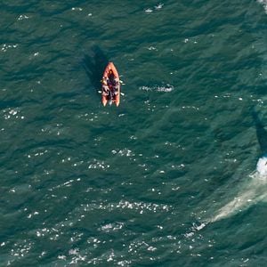 Fotoğraf Meg 2: Çukur