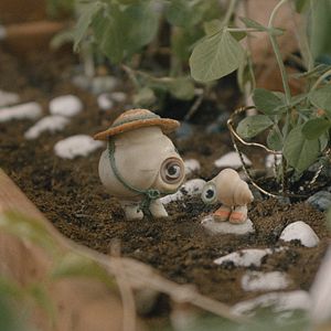 Fotoğraf Marcel The Shell With Shoes On