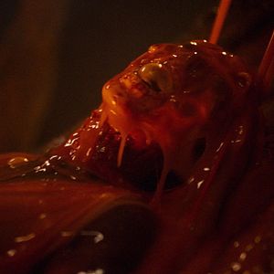 Fotoğraf Kids vs. Aliens