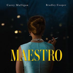 Fotoğraf Maestro