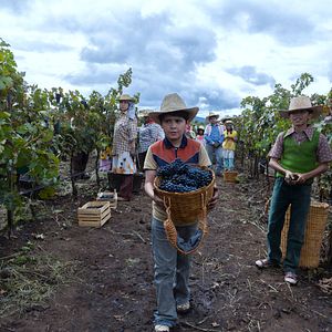 Fotoğraf A Million Miles Away