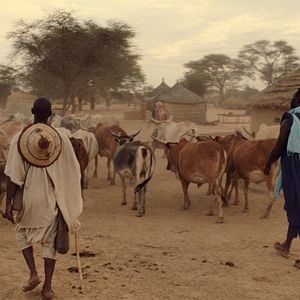 Fotoğraf Tirailleurs