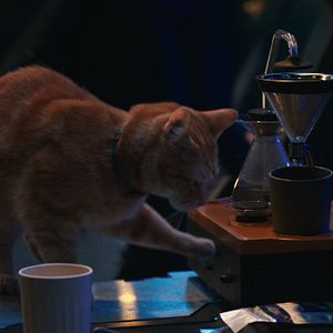 Fotoğraf The Marvels