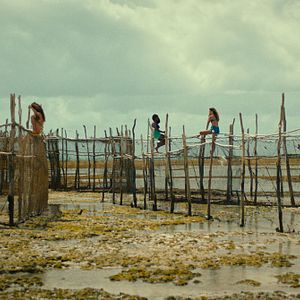 Fotoğraf Sem Coração