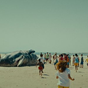 Fotoğraf Sem Coração