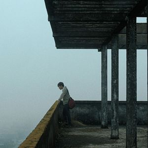 Fotoğraf Bên trong vỏ kén vàng