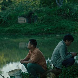 Fotoğraf Bên trong vỏ kén vàng