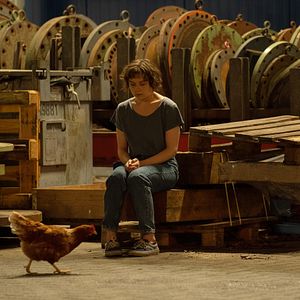 Fotoğraf Franky Five Star