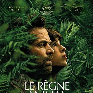 Fotoğraf Hayvan Krallığı