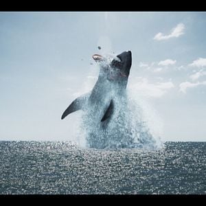 Fotoğraf The Black Demon