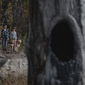 Fotoğraf Lanetli Kan