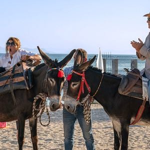 Fotoğraf Nia Vardalos