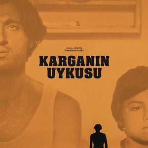 Fotoğraf Karganın Uykusu