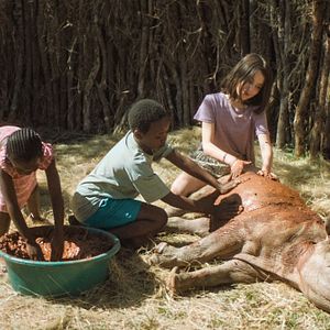 Fotoğraf Thabo - Das Nashorn-Abenteuer