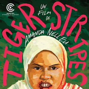 Fotoğraf Tiger Stripes