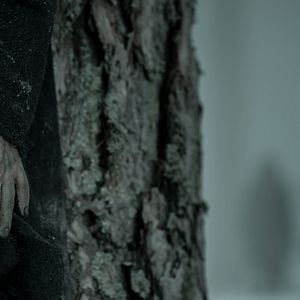 Fotoğraf Yaratılan