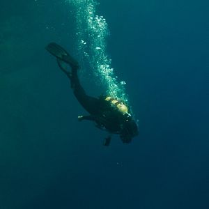 Fotoğraf Ölümcül Dalış