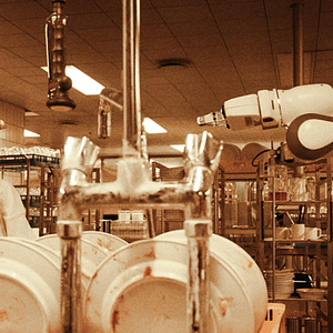 Fotoğraf The Kingdom