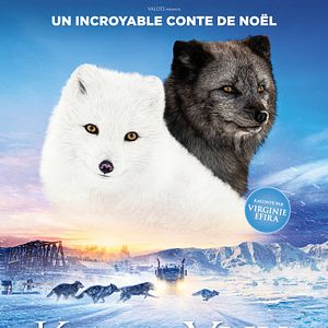 Fotoğraf Kina & Yuk : renards de la banquise