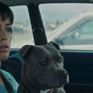 Fotoğraf Vincent Ölmeli