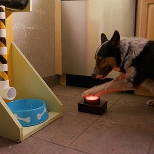 Fotoğraf Pups Alone