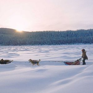 Fotoğraf Kina & Yuk : renards de la banquise