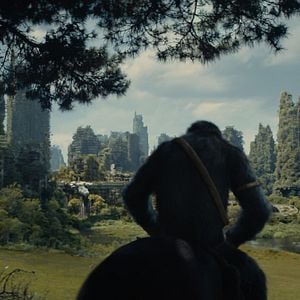 Fotoğraf Maymunlar Cehennemi: Yeni Krallık